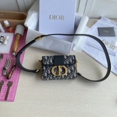 Dior Montaigne Bags